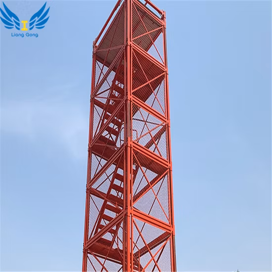 Cage d'échelle d'escalade de sécurité de construction avec le meilleur prix