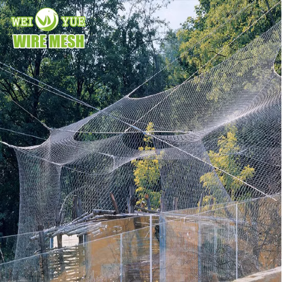 Échantillon de personnalisation de volières d'oiseaux, d'enclos pour animaux, de cages pour animaux, de décoration de bâtiment de zoo